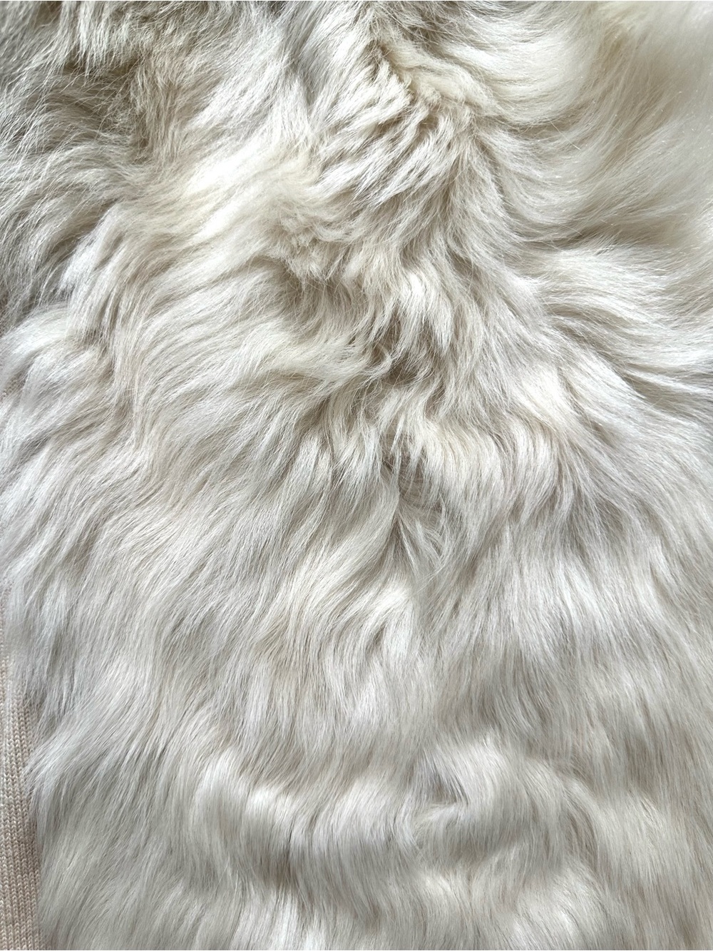 J.Crew Collection Shearling Cardigan in Heather Canvas - Picture 6 of 6
